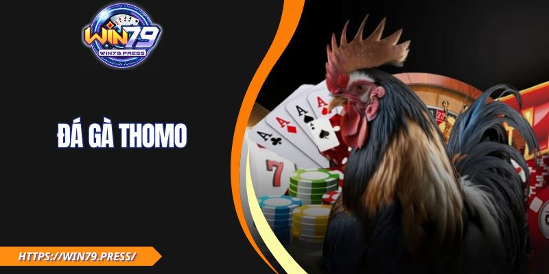 Đá Gà Thomo WIN79|  Xem Miễn Phí, Cược Siêu Tốc Mỗi Ngày