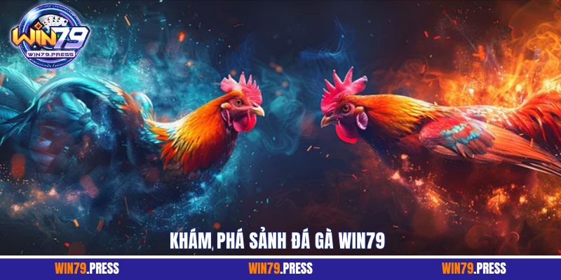 Khám phá không gian sảnh đá gà tại Win79 đầy thú vị và hấp dẫn